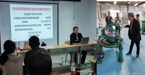 西盟縣農(nóng)科服務(wù)團(tuán)佤鄉(xiāng)傳授茶科技，信息技術(shù)咨詢服務(wù)助力鄉(xiāng)村全面振興