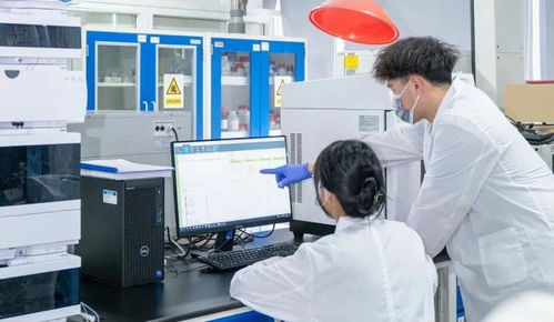 決勝收官 向新而行 主動(dòng)服務(wù)沿滬寧產(chǎn)業(yè)創(chuàng)新帶建設(shè)，推動(dòng)普陀科創(chuàng)動(dòng)能澎湃聚勢